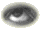 eye1.gif